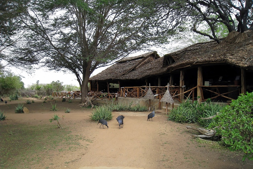 Kenia (397).jpg